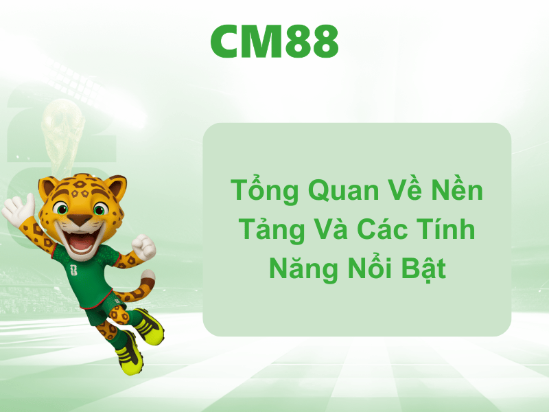 Tổng Quan Về Nền Tảng Và Các Tính Năng Nổi Bật